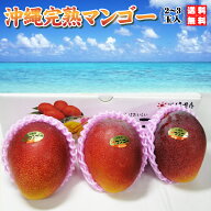 割引クーポン付　沖縄 トロピカル 完熟マンゴー 800g～1,000g　2〜3玉入（贈答用）送料無料で　お中元　…