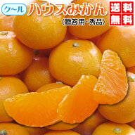 割引クーポン付　クール　ハウスみかん　たっぷり2kg　送料無料・やっぱり夏冷やして美味！ハウスみかん…