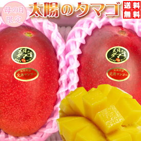 割引クーポン付　太陽のタマゴ　大玉2L・2玉入（700g以上）最上級のブランド・赤〜青秀品【お中元ギフト】父の日