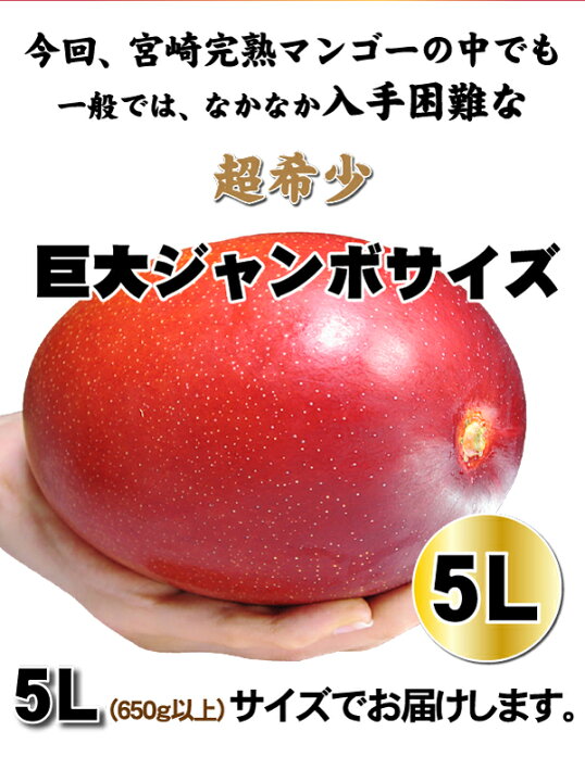 楽天市場】割引クーポン付 プレミアム巨大ジャンボ 宮崎完熟マンゴー 