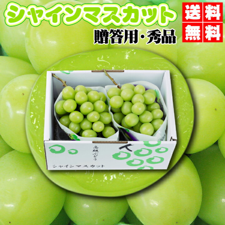 楽天市場】割引クーポン付☆シャインマスカット 大粒☆たっぷり1,1kg  