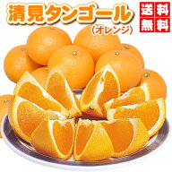 きよみオレンジ ⇒割引クーポン付★大人気の定番オレンジ日本名高い・えひめ西宇和 みさき産・清見タンゴ…