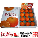 本日割引クーポン付　2022楽天グルメ大賞受賞＼最安お歳暮／★ 紅まどんな　3kg（JAえひめ中央化粧箱入）驚愕価格で日本最安値に挑戦！（10〜15玉入）愛媛より送料無料・お歳暮