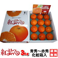 2022楽天グルメ大賞受賞＼最安お歳暮／★ 紅まどんな　3kg（JAえひめ中央化粧箱入）驚愕価格で日本最安値…