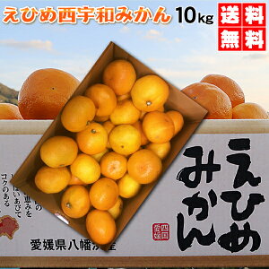 {20OFFN[|@ЂߐFa݂@10kgi5kgx2jƒp@@{NlێIXX@݂̃uhn@FaY