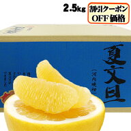 割引クーポン付★たっぷり2.5kg　夏文旦　TVで話題の食べる天然ジュース！夏文旦（河内晩柑）必見2注文以…