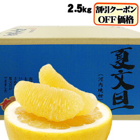 割引クーポン付★たっぷり2.5kg　夏文旦　TVで話題の食べる天然ジュース！夏文旦（河内晩柑）必見2注文以上で送料無料・増量サービス付愛媛産（訳あり・ご家庭用）愛媛みかん
