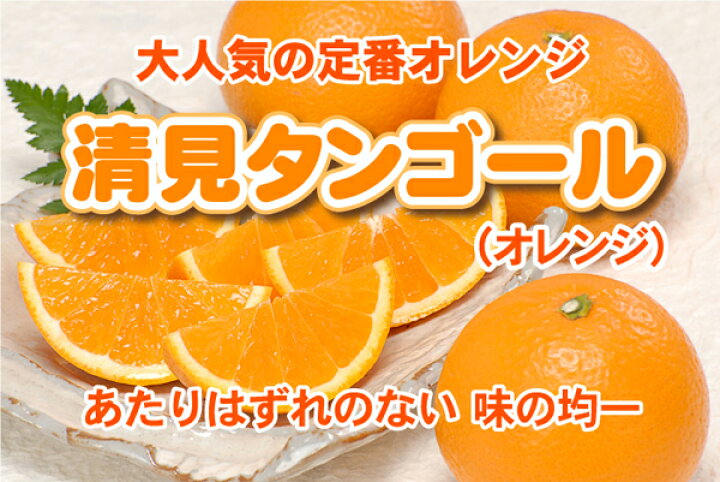 楽天市場】きよみオレンジ ⇒割引クーポン付☆大人気の定番オレンジ 