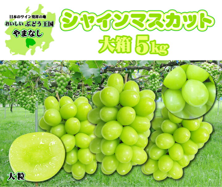 楽天市場】やまなしシャインマスカット 大箱5kg7〜9房☆個数限定 