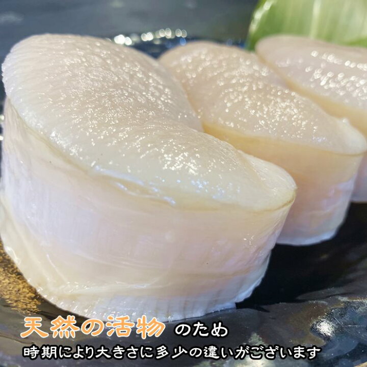 楽天市場 平貝 タイラギ 貝 お刺身 大1個 愛知県産 岬だよりショップ