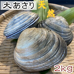 活 あさりの人気商品 通販 価格比較 価格 Com