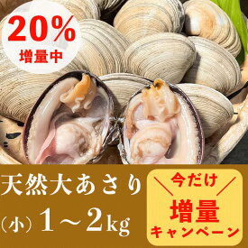(1,000円OFFクーポン配布中) (20％増量中) 大アサリ BBQ 三河 アサリ バーベキュー 大あさり ＋タレ付き 活き 大あさり (売れ筋) 天然　小サイズ [愛知県産] 1kg 2kg