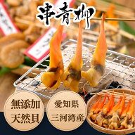 (新物) 串青柳 姫貝 干物 アオヤギ 青柳 三河 伊勢湾産 愛知県 国産 貝