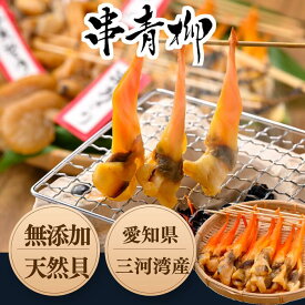 (新物) 串青柳 姫貝 干物 アオヤギ 青柳 三河 伊勢湾産 愛知県 国産 貝