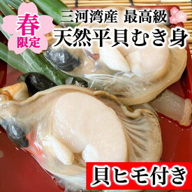 楽天ランキング1位受賞 平貝 貝柱 貝 お刺身 ヒモ 貝ひも タイラギ 愛知県産 三河産 タイラガイ 母の日 父の日 お中元 海鮮