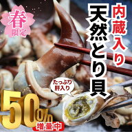 (50%増量特別キャンペーン) 幻の天然とり貝トンボ（内臓入り）2026年新物 愛知県三河湾産 刺身用 数量限…
