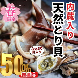 (50%増量特別キャンペーン) 幻の天然とり貝トンボ（内臓入り）2026年新物 愛知県三河湾産 刺身用 数量限定 希少品【冷ぞう】鳥貝 父の日 トリ貝
