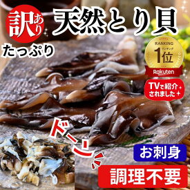 【1,000円OFFクーポン】訳あり 天然とり貝 お買い得パック 愛知県産 お刺身 鳥貝 トリ貝 とり貝 天然 貝 海鮮