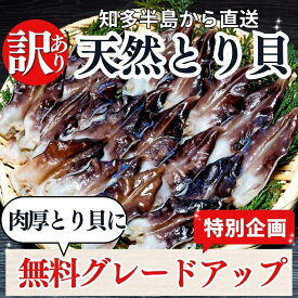 【1,000円OFFクーポン】【肉厚とり貝に無料グレードアップ中】トリ貝 訳あり お刺身 送料無料 愛知県産 冷凍 サイズ、セット数をお選びください とり貝 鳥貝 お刺身 貝