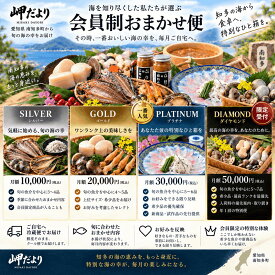 【定期便】岬だより 会員制おまかせ便 旬の海鮮 毎月お届け 海鮮セット 魚介 詰め合わせ おまかせ便 貝 高級海鮮 産地直送 愛知県 南知多