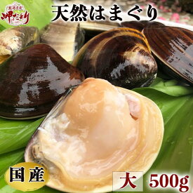 ハマグリ はまぐり 蛤 天然 国産はまぐり 大サイズ 500g（6個前後）【愛知県産】