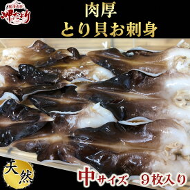 新物 とり貝 お刺身 愛知県産 サイズをお選びください
