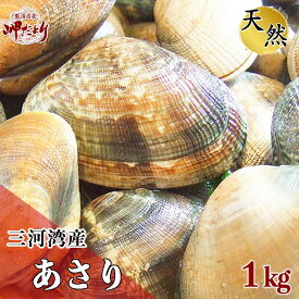 【期間限定・特別販売】 アサリ あさり 天然 三河産 愛知県 活きあさり 1kg サイズをお選びください。