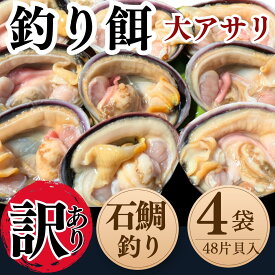 釣り餌 大アサリ 大あさり 4袋セット(48片貝) 石鯛 釣りエサ エサ 釣り 送料無料