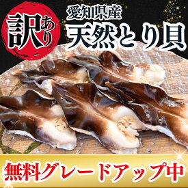 【肉厚とり貝に無料グレードアップ中】トリ貝 訳あり お刺身 送料無料 愛知県産 冷凍 サイズ、セット数をお選びください とり貝 鳥貝 お刺身 貝