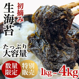 生海苔 初摘み 生のり (冷凍) 2kg/5kg/1袋500g入り 【愛知県知多半島産】海苔 新物