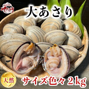 (1,000~OFFN[|zz) BBQ O AT AT o[xL[  傠 {i^t) 2kg TCYFX@() (mY) VR