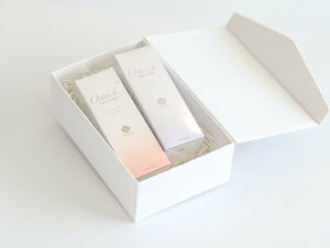 yMtgZbgzI[Xgb`nhN[ƃPAN[Zbg