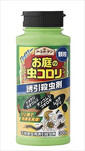 A[X A[XK[f nCp[̒R 300g