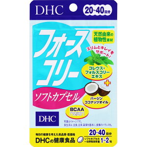 DHC tH[XR[\tgJvZ 20~40 40y4܂Œ`Oz