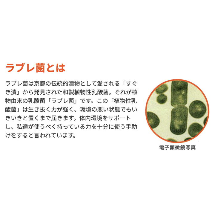 楽天市場】ラブレファイブ 550粒 91日分 植物性乳酸菌 ラブレ菌 