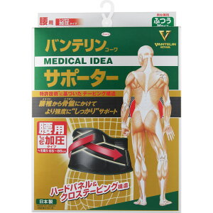  ӂMTCY p^Cv oeR[T|[^[