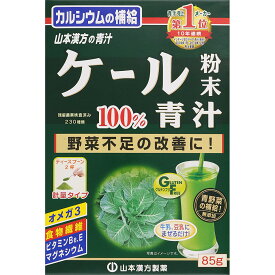 計量タイプ 85g ケール粉末100％【1個まで定形外可】