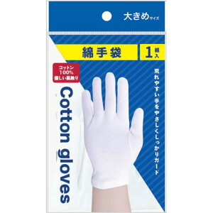 Ȏ 傫߃TCY 1g 12Zbg