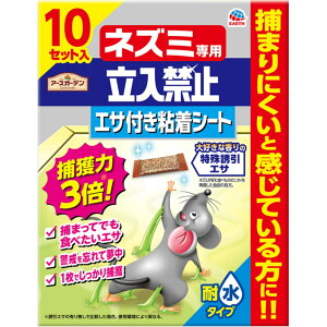 A[XK[f lY~p֎~ GTtSV[g 10Zbg