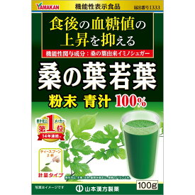 計量タイプ 100g 桑の葉青汁粉末100％ 【1個まで定形外可】