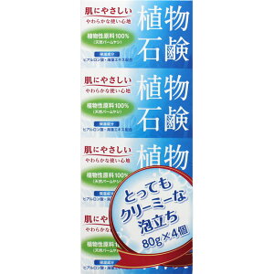 yzAΌNY 80g×4@yVRp[VzyqA_zyCGLXz