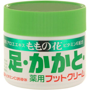 y򕔊Oiz̉ԁEptbgN[@70g