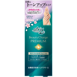 ԉ AgbNX r[eB[`[Wv~A g[Abv nhN[ TN̍ 60g