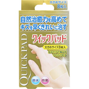 yzNCbNpbh 傫 29mm×59mm 8 ΂񂻂 Jnp SʃnChRCh