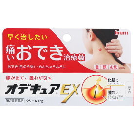 【送料無料】【第2類医薬品】オデキュアEX 12g