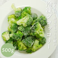 冷凍ブロッコリー エクアドル産 ブロッコリー 冷凍 送料無料 ＼自然解凍でそのまま使える／ 500g 1kg 1.5…