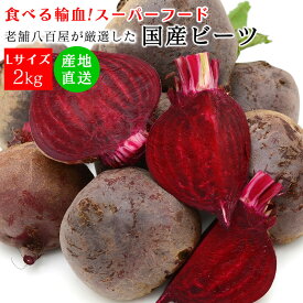 ＼楽天スーパーSALE限定 クーポンで10％OFF／ ビーツ 野菜 2kg びーつ Lサイズ 送料無料 美味しい 長野県 新鮮 みさわの野菜 テーブルビート ビートルート 赤ビート レッドビート 国産 日本産 鮮度 旬 やさい スーパーフード