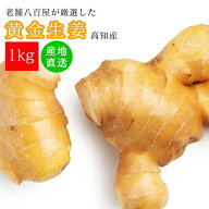 黄金生姜 1kg 国産 生姜 黄金しょうが 高知県産 美味しい しょうが ショウガ 新鮮 業務用 大容量 お徳用 …