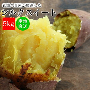 ܂ VNXC[g 3kg 5kg 󂠂 Yn ܂ 錧 t F{  VN Tc}C  ܈ Ȃ߂炩 H F zNzN 傫 C 邭[ 