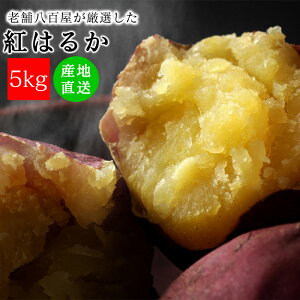 ܂ 3kg 5kg g͂邩   VN Tc}C  ݂̖